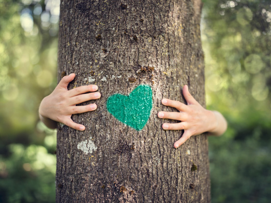 Hands are wrapped around a tree with a green heart painted on its bark